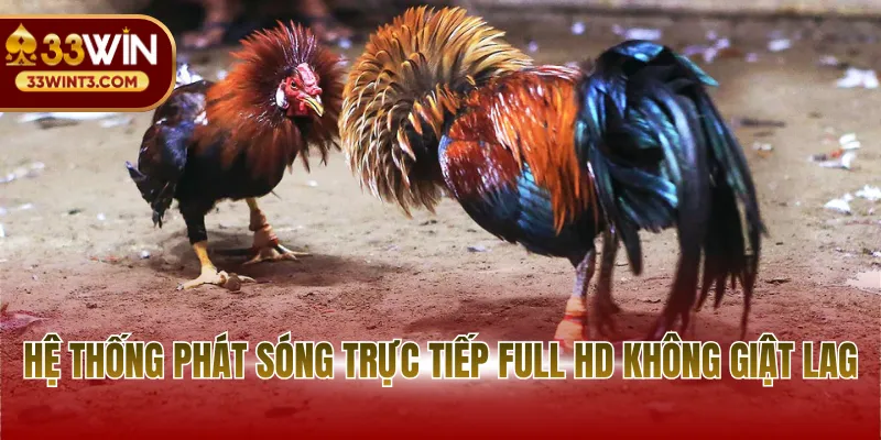 Cược Đá Gà Cựa Sắt - Chiến Thuật Chốt Kèo Đỉnh Cao 2026 3 Hệ thống phát sóng chất lượng cao đảm bảo không giật lag