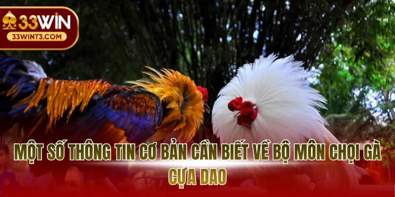 Một số thông tin cơ bản cần biết về bộ môn chọi gà cựa dao