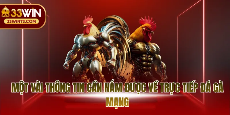 Một vài thông tin cần nắm được về trực tiếp đá gà mạng