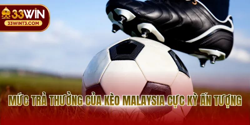 Kèo Mã Lai - Tìm Hiểu Loại Hình Odds Vô Cùng Độc Đáo 3 Mức trả thưởng của kèo Malaysia cực kỳ ấn tượng