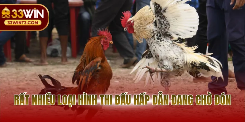 Rất nhiều loại hình thi đấu hấp dẫn đang chờ đón